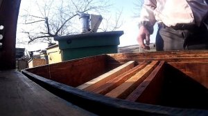 Что делать с рамками в которых испорченный мед, плесень. Вопрос подписчика