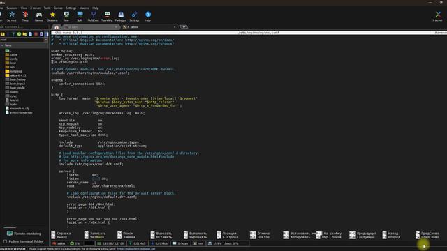 Мониторинг Nginx в Zabbix