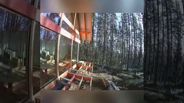 Фахверк. смотреть онлайн