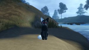 ЦЕЛИТЕЛЬ,УЧЕНИК ЦЕЛИТЕЛЯ,БОЛЕЗНИ В КОТАХ ВОИТЕЛЯХ И КАК ИХ ЛЕЧИТЬ?|коты воители роблокс