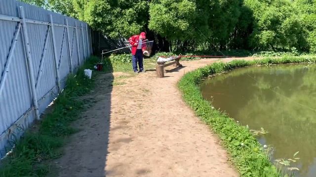 Лобня.Луговая. Рыболовный клуб «Зелёный берег» Поимки форели смотреть онлайн
