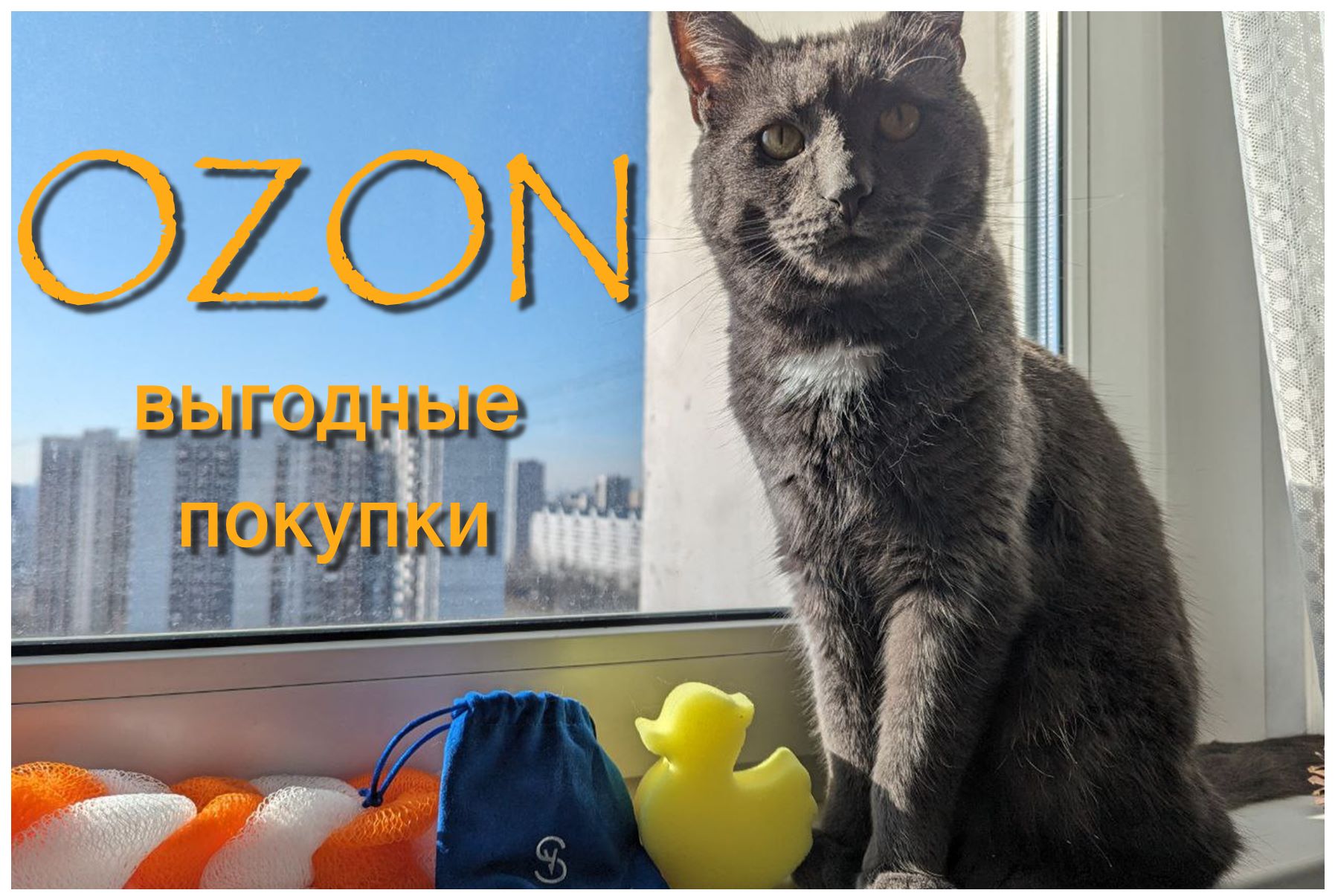 Кот-эксперт на OZON/Забавные моменты и обзор популярных товаров смотреть онлайн