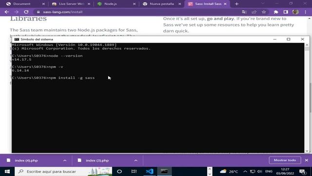 ? Instalar sass en Visual Studio Code con NODE JS o RUBY смотреть онлайн