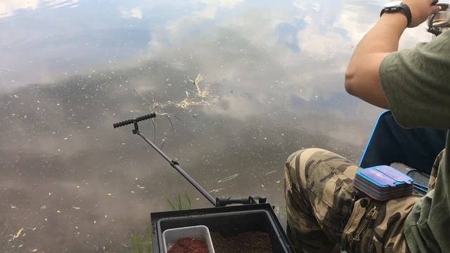 Фидерная рыбалка. Щука на фидер. Москва река - Бронницы. смотреть онлайн