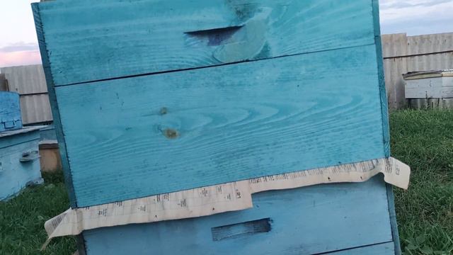 Как объединить или усилить пчёл в КОРПУСНОМ УЛЬЕ в тёплый период☝️🐝🐝 смотреть онлайн