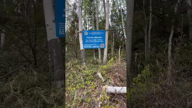 2 июня. Загрязнение реки Ыллымах. Видео с Ватсапп. Автор неизвестен. смотреть онлайн