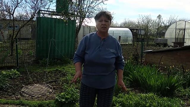 Посадка чубуков. смотреть онлайн