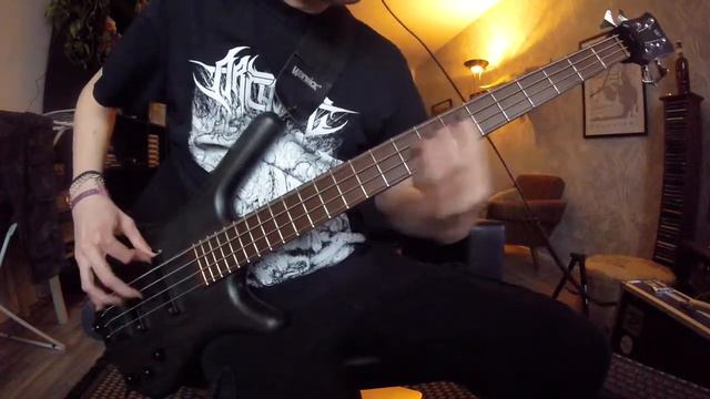 Coheed and Cambria - The Suffering (bass cover) смотреть онлайн