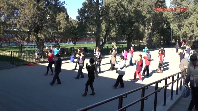 Китайцы отдыхают в парке. Танцы. Часть 3 смотреть онлайн