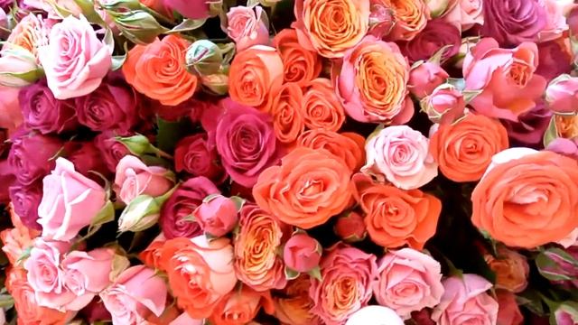 Розы/Roses spray | Доставка | Симферополь | Rose by Gentleman смотреть онлайн