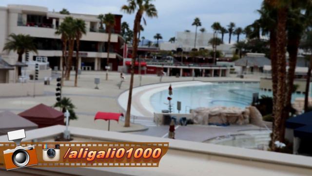 BELLAGIO VEGAS DA FANTASTİK SU GÖSTERİSİ-DÜNYA'NIN EN BÜYÜK KÖPEKBALIĞI AKVARYUMU смотреть онлайн