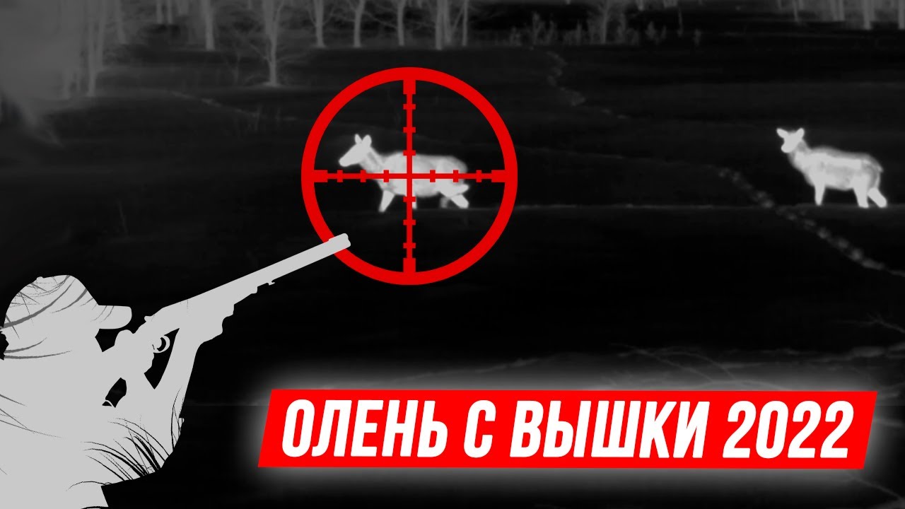 ? ОЛЕНЬ с вышки, зимняя охота 2022 | Олени в тепловизоре Pulsar Helion 2 XP50 смотреть онлайн
