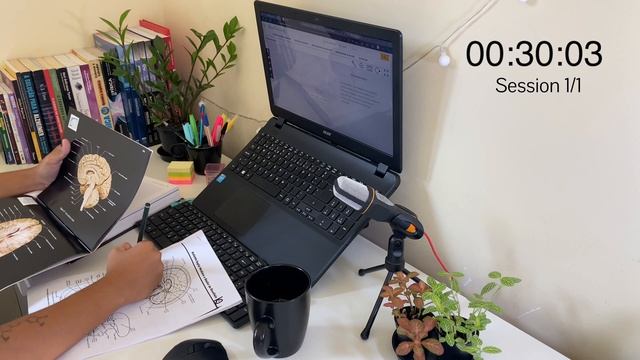 STUDY WITH ME 1 HOUR on a rainy day | no breaks | focus смотреть онлайн