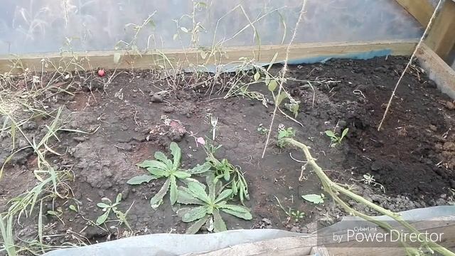 #ПечкаВтеплицу Как сделать печку в теплице. смотреть онлайн
