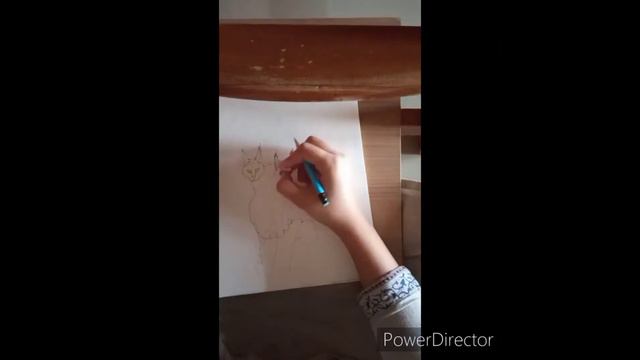 Caracal: wild cat from Africa смотреть онлайн