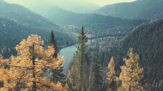 Золотая осень на р. Кантегир. Горные реки Сибири смотреть онлайн