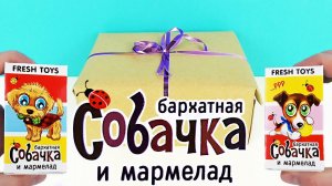 НОВЫЕ БАРХАТНЫЕ СОБАЧКИ в сюрпризах Фреш Тойз 4 коллекция! Surprise Toys unboxing