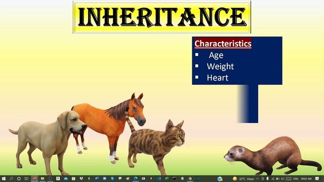 INHERITENCE IN JAVA WITH SIMPLE REAL LIFE EXAMPLE смотреть онлайн