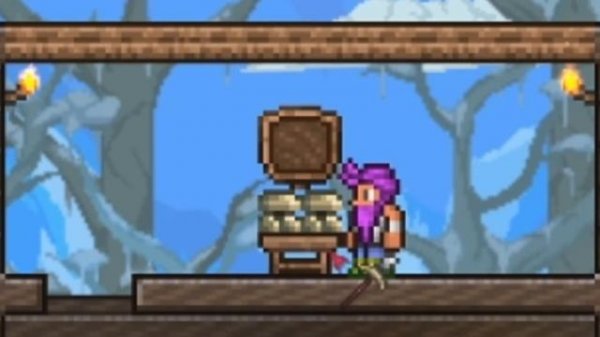 Как дюпать вещи в Террария? Dupe вещей в Terraria. Гайд.