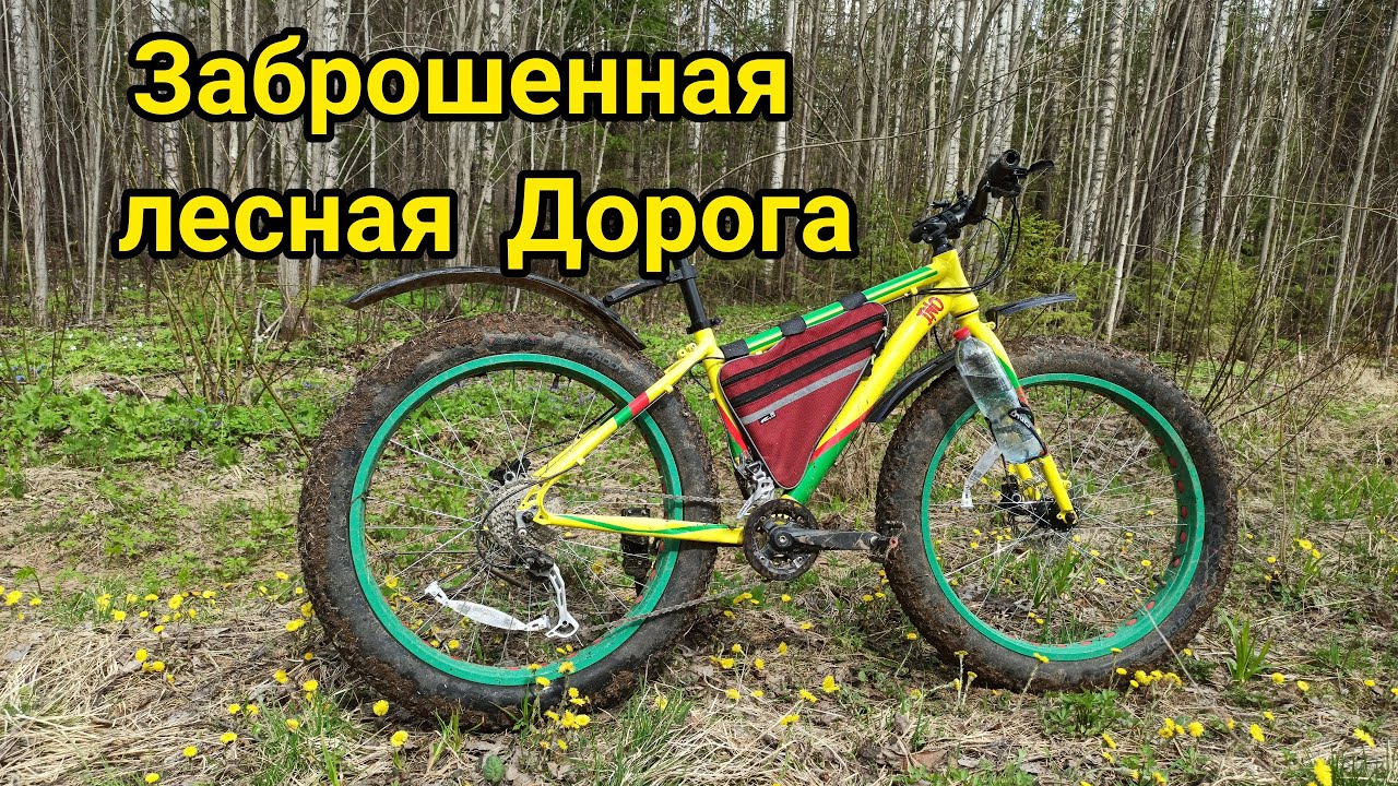 По Заброшенной лесной дороге.На Фэтбайке