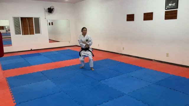 Meikyo Kata Karate Shotokan смотреть онлайн