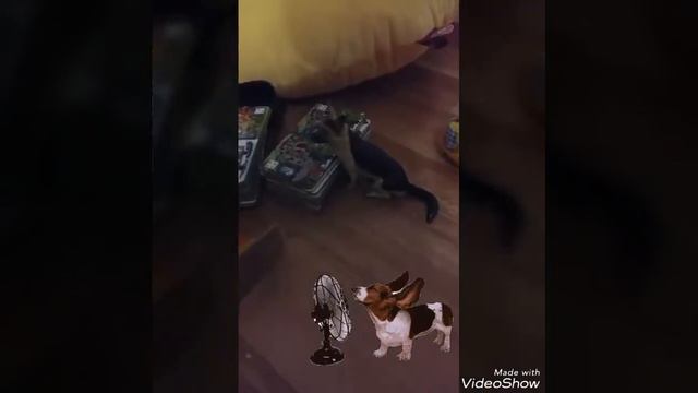 Живые игрушки(стоп-моушен)