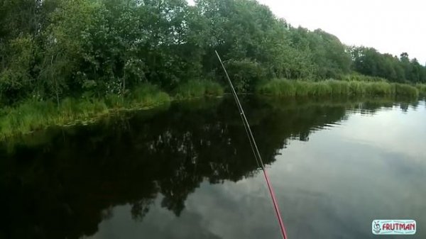 Keitech Swing Impact 2" cola (часть2) Fantom Tournament-S