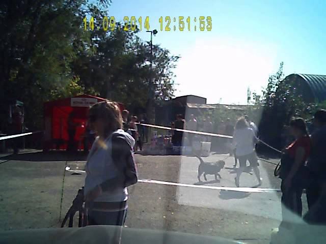 Сравнение на ЛЮ Волгоград смотреть онлайн