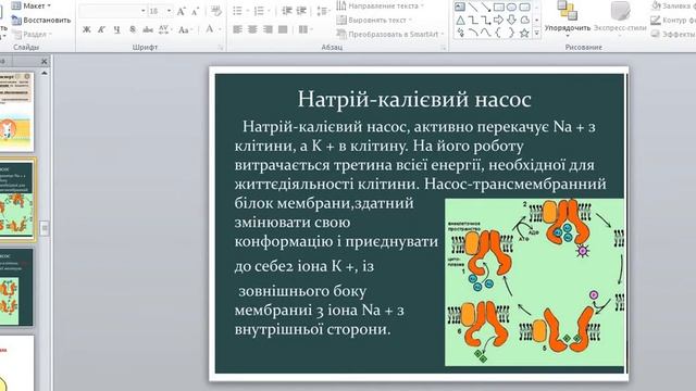 Фізіологія. Практика 44. Потенціал спокою. Потенціал дії. смотреть онлайн
