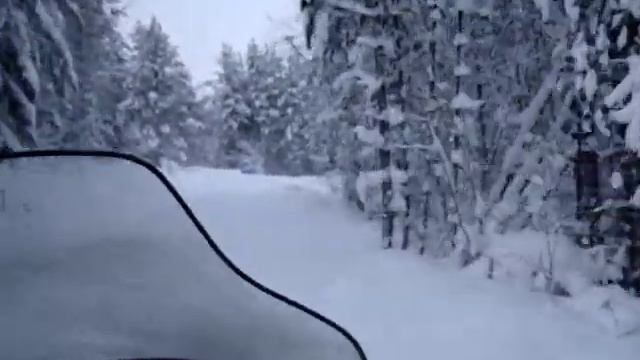 На охоту на снегоходе смотреть онлайн