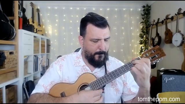 Golden Slumbers - Instrumental Ukulele Cover смотреть онлайн