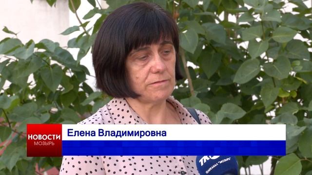 Стая собак нападает на котов на бульваре Юности смотреть онлайн
