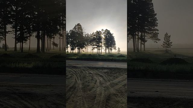 #туман #рассвет #2024 #live #summer #shorts