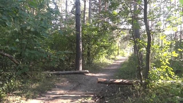 Мотоцикл полный привод через бревно. смотреть онлайн