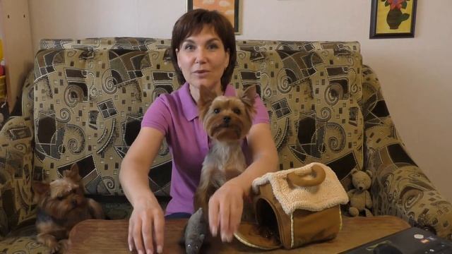 Фрагмент урока Мишка и Мышка