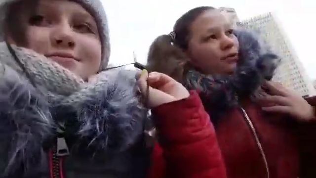 My VLOG.Мой ВЛОГ.Маня,Ёлки 5,XL. 24.12.2016! смотреть онлайн