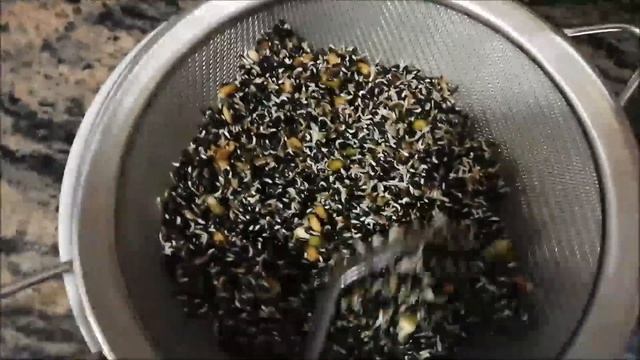 El germinado autentico смотреть онлайн