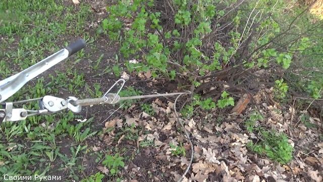КАК ВЫКОРЧЕВАТЬ КУСТ смородины или другой кустарник БЕЗ УСИЛИЙ смотреть онлайн