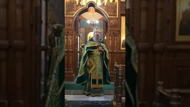 Благословен Грядый во имя Господне! Слово архимандрита Мелхиседека (Артюхина) смотреть онлайн