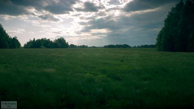 The wind blows through the grass / Ветер гуляет по траве смотреть онлайн