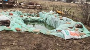 Как сделать искусственный пруд в огороде