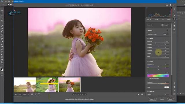 Hướng dẫn Cài camera raws 14 miễn phí Win for Mac | Chiasepts смотреть онлайн