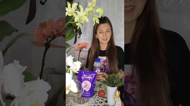 Новогоднее настроение с @aminosil Принимайте поздравления! смотреть онлайн