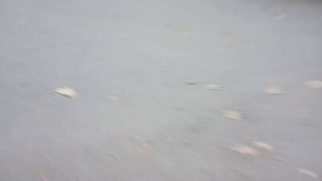 Сфинкс. По. Сриди. Улицы смотреть онлайн