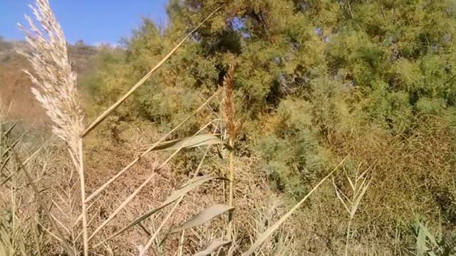 Новофедоровка .Море.Ландшафт