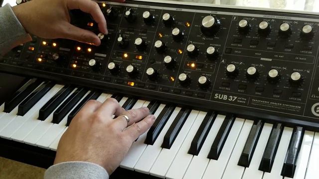 Spring Day - Moog Sub37 смотреть онлайн