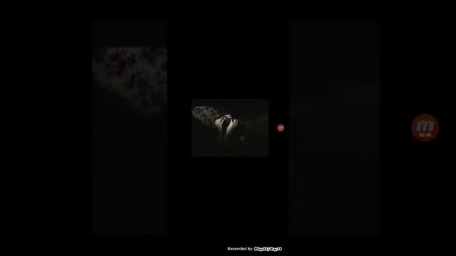 пародія на пісню Тілі тілі бом смотреть онлайн