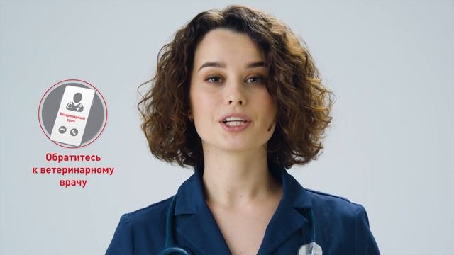Корм ROYAL CANIN SATIETY WEIGHT MANAGEMENT для кошек контроль веса в Magizoo.ru смотреть онлайн