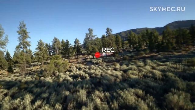 Гоночная версия DJI Goggles - Racing Edition