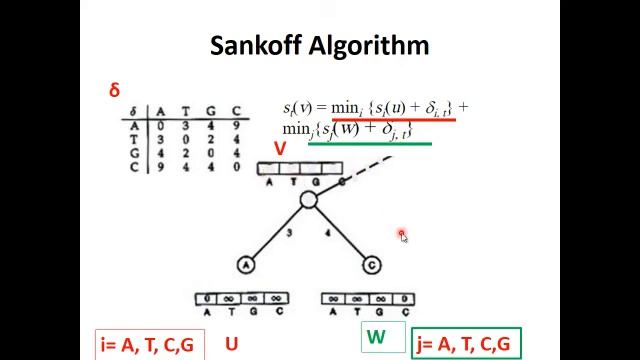 Sankoff Algorithm: Dynamic Programming смотреть онлайн